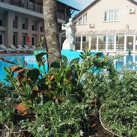 فندق Oazis Wellness Panzio