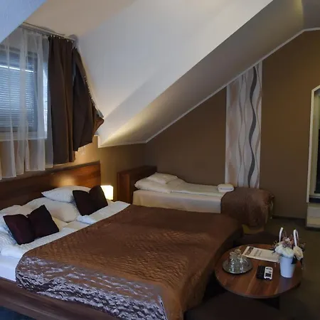 فندق Oazis Wellness Panzio
