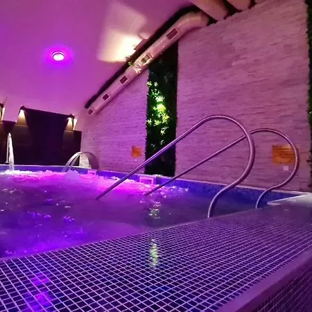 Oazis Wellness Panzio ホテル シゲトセントミクローシュ