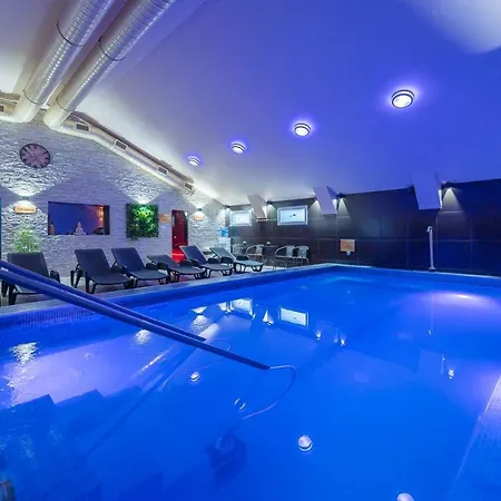 فندق Oazis Wellness Panzio 3*