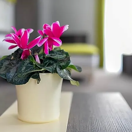 Oazis Wellness Panzio Szálloda 3*