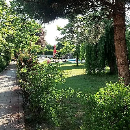 Oazis Wellness Panzio