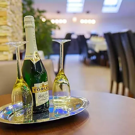 Oazis Wellness Panzio