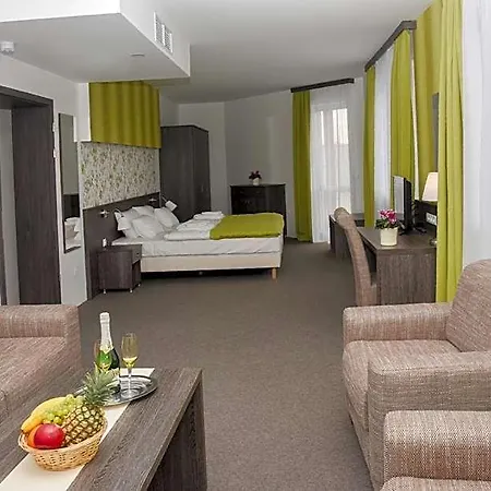 Oazis Wellness Panzio