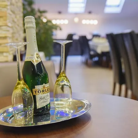 فندق Oazis Wellness Panzio 3*