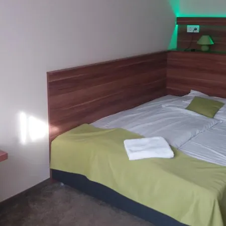 فندق Oazis Wellness Panzio 3*